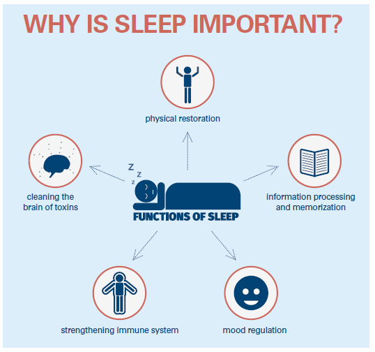 Why-Sleep-Is-Important.jpg