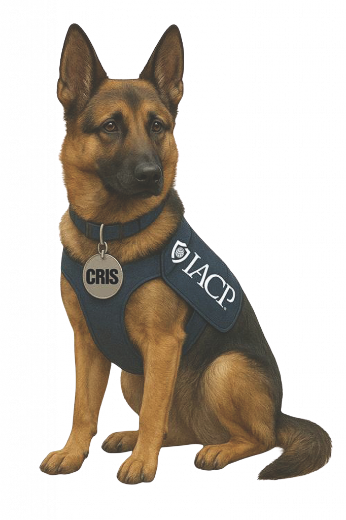 German Shepherd in blue vest with IACP badge logo and 'CRIS' collar tag sits attentively, representing law enforcement canine presence.