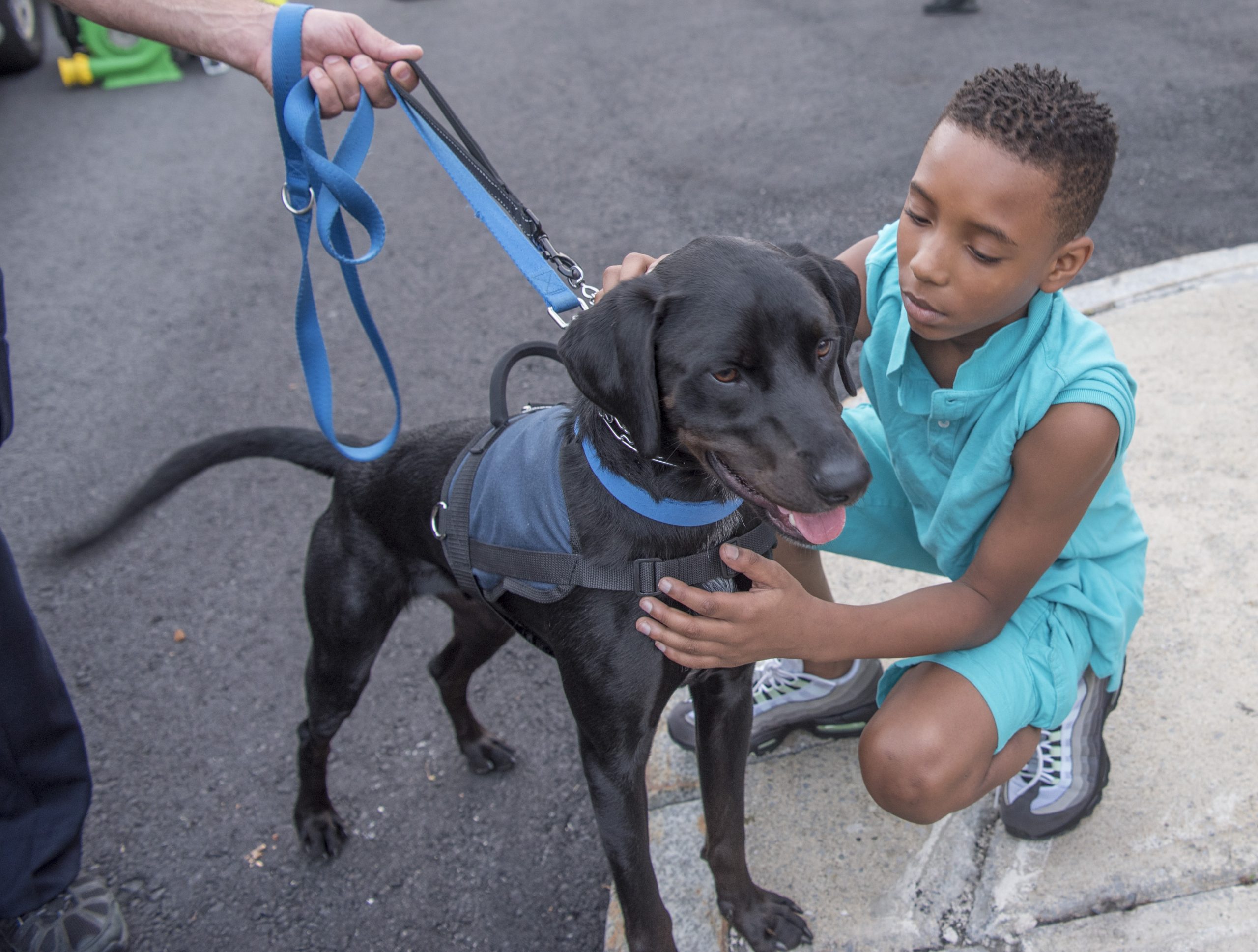 The therapy dog’s presence offers a way for officers to connect with community members.