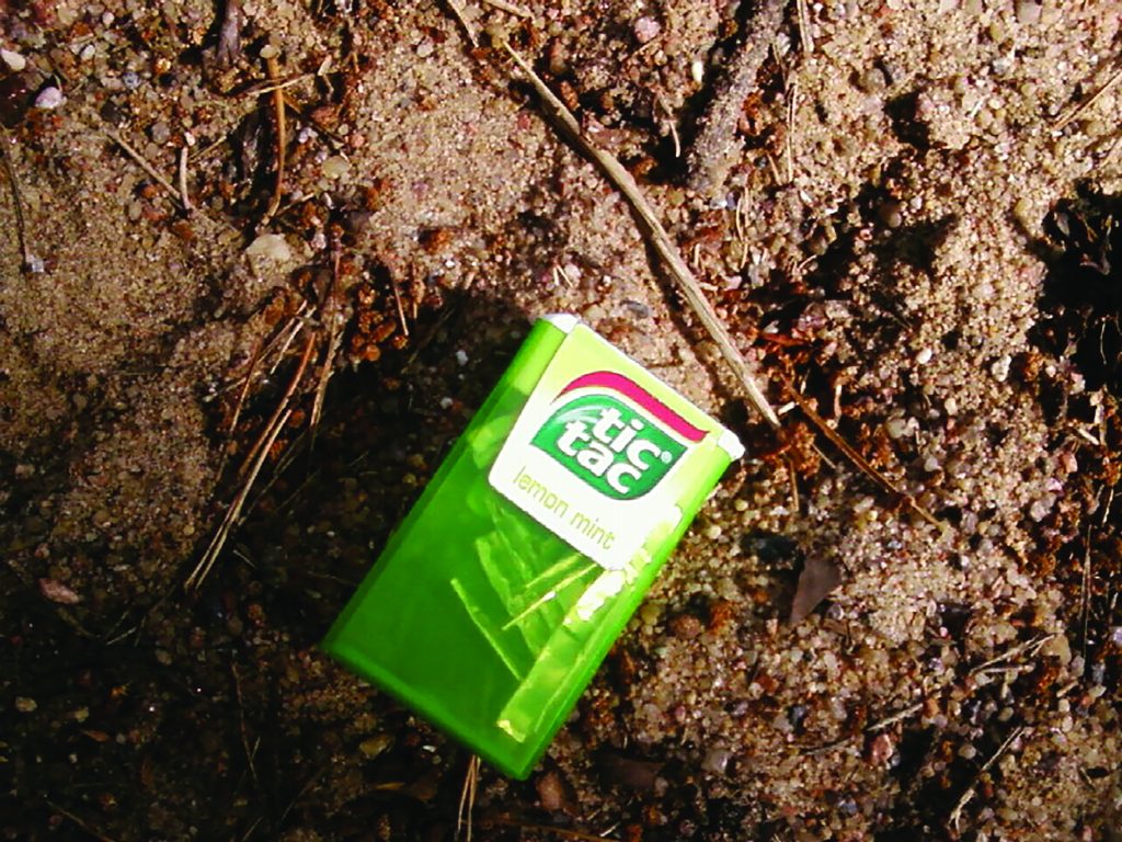 Green 'lemon mint' Tic Tac container partially buried in sandy ground with scattered twigs and pebbles—potential discarded item at scene