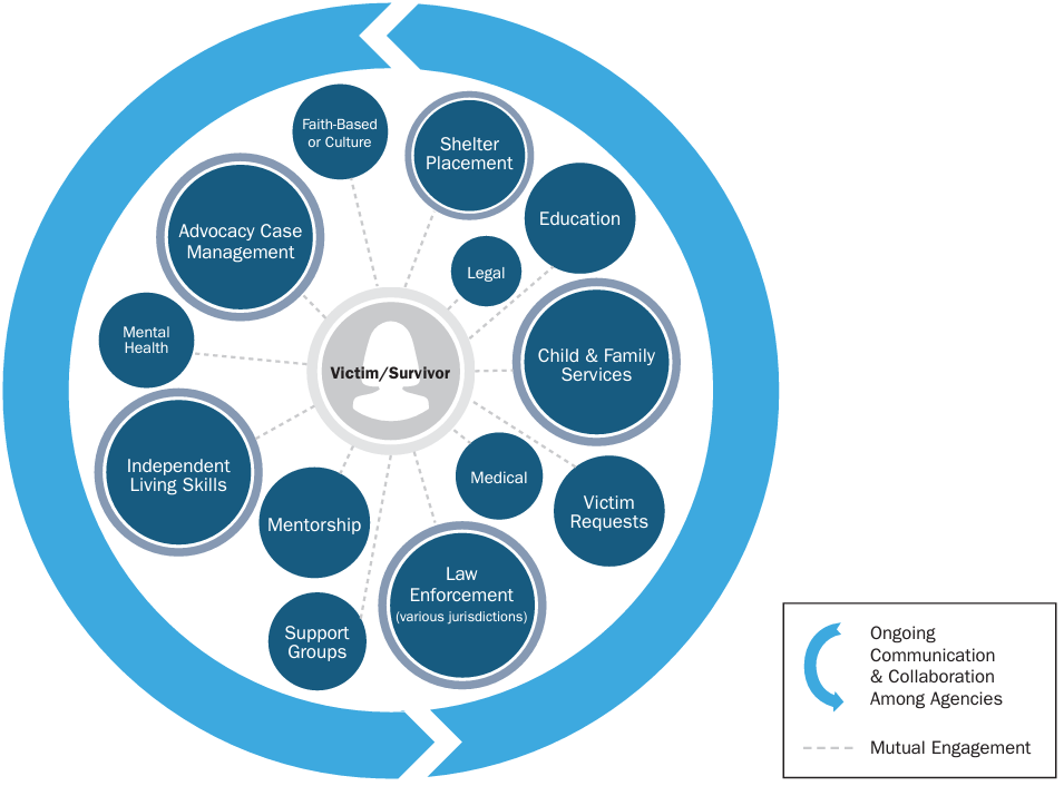 Figure 2: Victim–Survivor Services