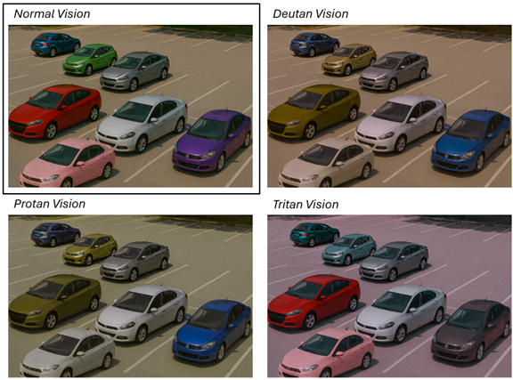 Four panels of same parking lot show color shifts under Normal, Deutan, Protan, and Tritan vision—illustrating color blindness effects on scene