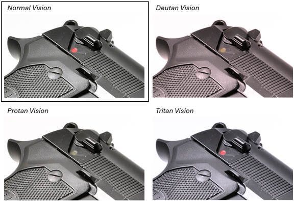 Four panels show handgun under Normal, Deutan, Protan, and Tritan vision filters, highlighting color perception differences in color blindness