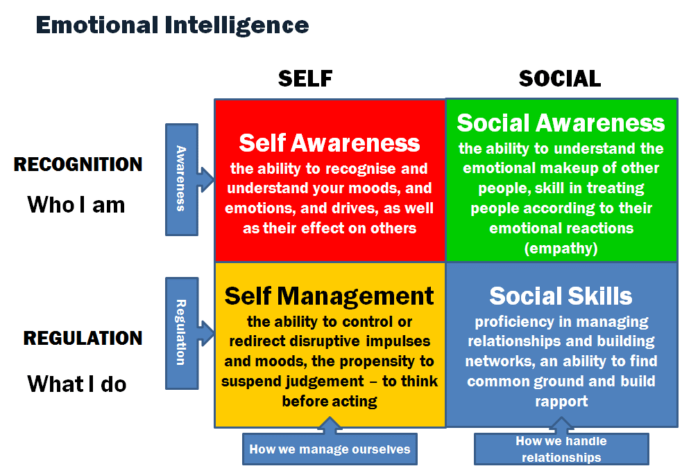 Daniel Goleman's model with four domains: self- awareness, self-management, social awareness and relationship management