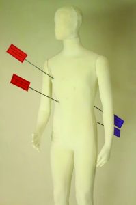 Two white articulated forensic mannequins stand on black metal bases against a neutral backdrop, one posed walking with raised leg and hand at waist, the other upright with arms lowered, showing smooth featureless heads, jointed limbs, torso contours, support rods, and display stands