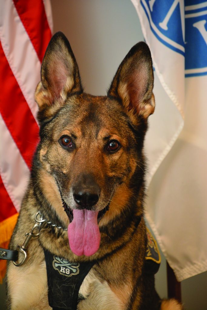 K9 Gage of the Alexandria, Virginia, Police Department, K-9 Unit