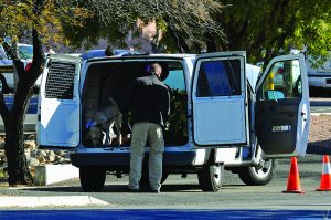 Officer stands at open back of white van with caged doors, interacting with dog inside; side door open, orange traffic cones on asphalt nearby