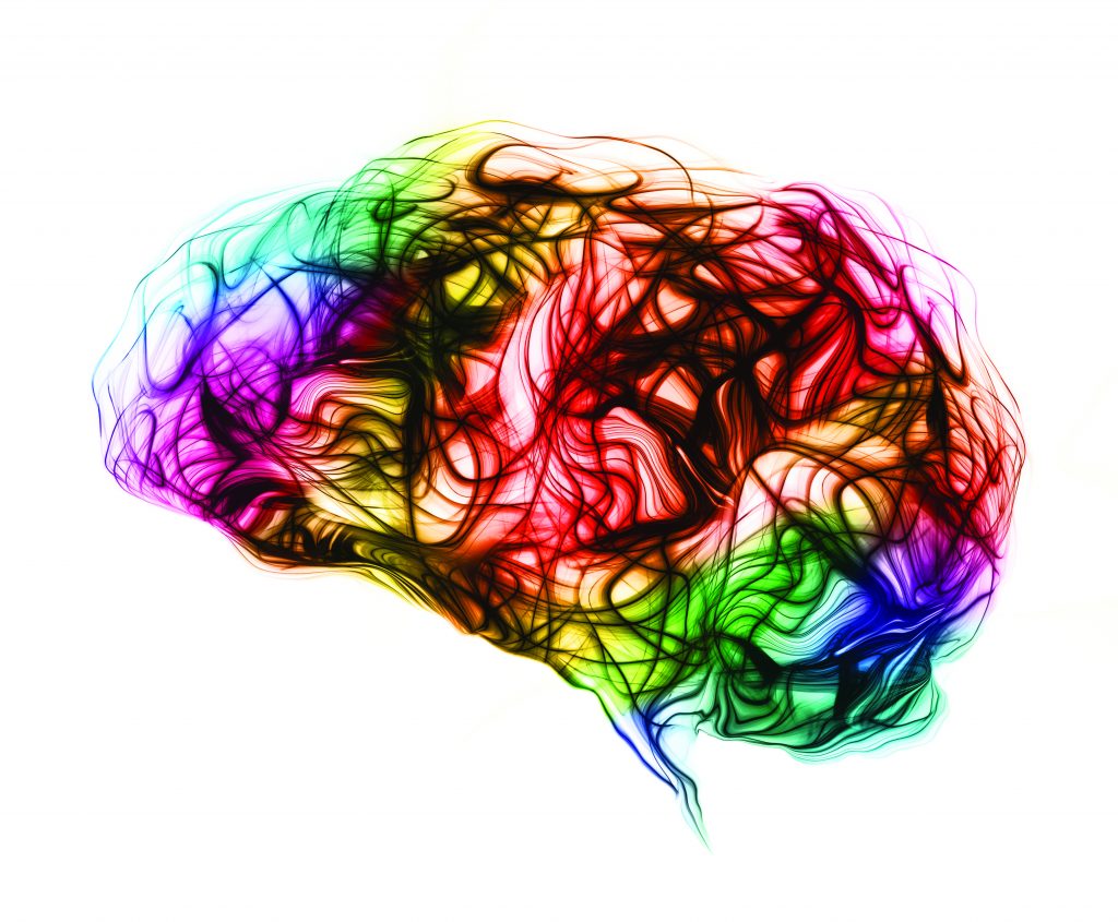 art of colored brain sections showing movement of brain waves