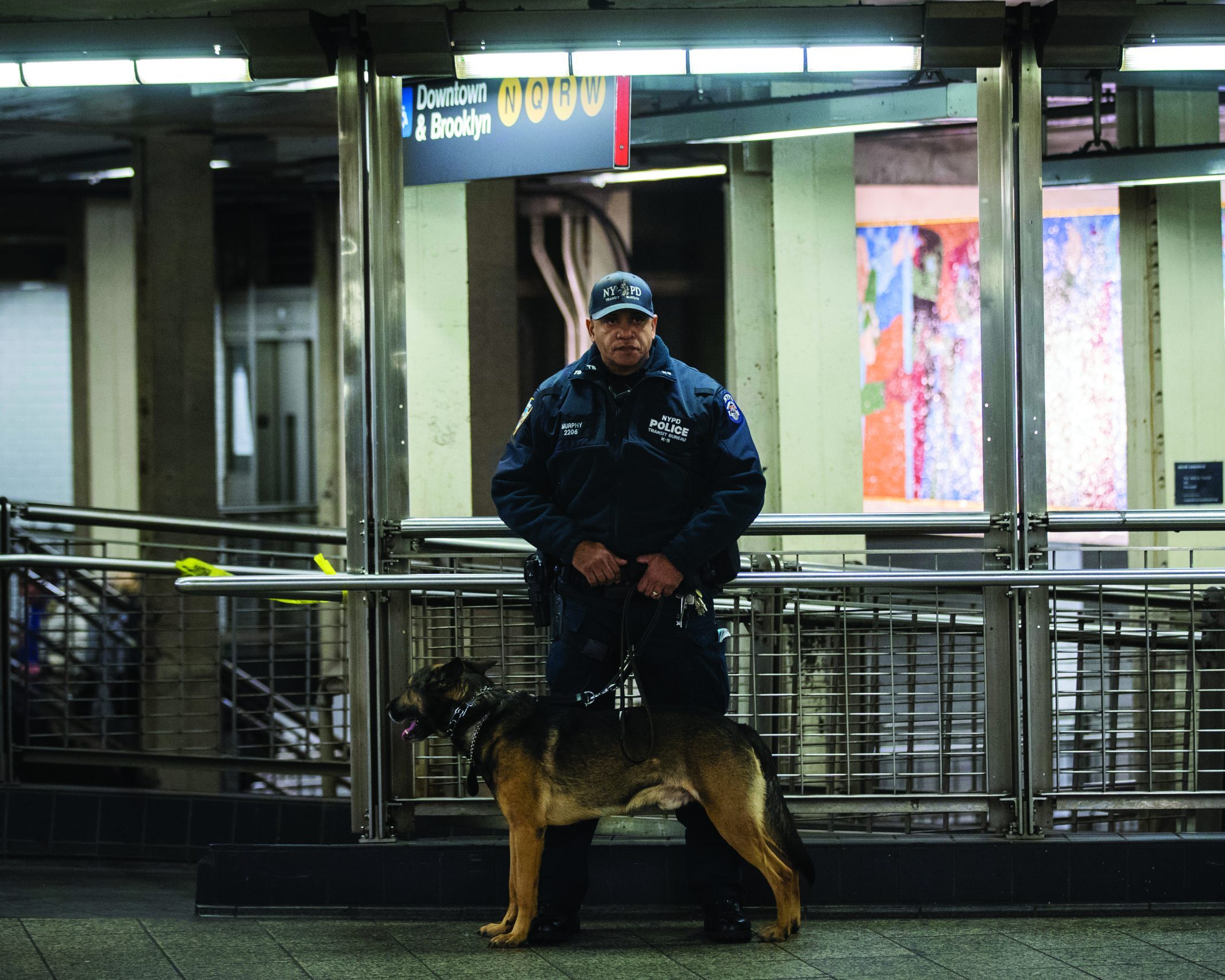 K9 Injury: The Use of Police Dogs in Law Enforcement