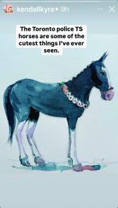 Watercolor of Toronto police horse with dark body, white legs, pink muzzle, and colorful garland; caption text above praises horse's cuteness