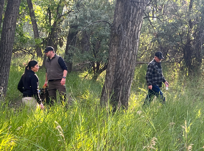 Three individuals in outdoor gear walk through tall grass in dense forest; surrounded by trees and foliage, suggesting fieldwork or search activity.