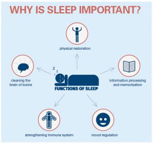 Why Sleep Is Important - Police Chief Magazine